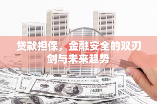 水富贷款担保，金融安全的双刃剑与未来趋势