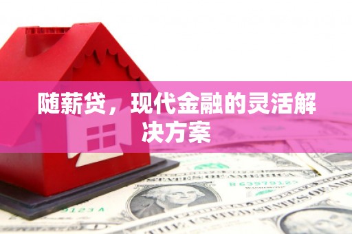 水富随薪贷，现代金融的灵活解决方案