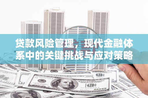 水富贷款风险管理，现代金融体系中的关键挑战与应对策略