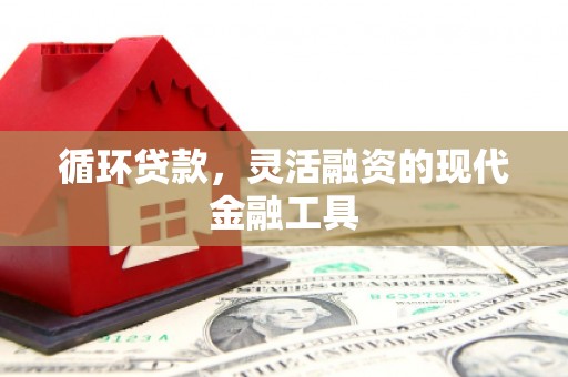 水富循环贷款，灵活融资的现代金融工具