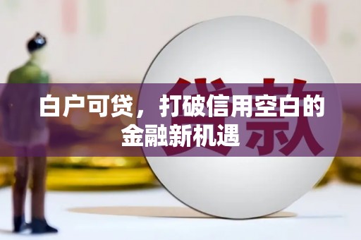 水富白户可贷，打破信用空白的金融新机遇