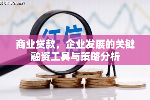水富商业贷款，企业发展的关键融资工具与策略分析