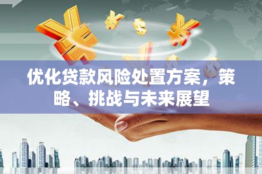 水富优化贷款风险处置方案，策略、挑战与未来展望
