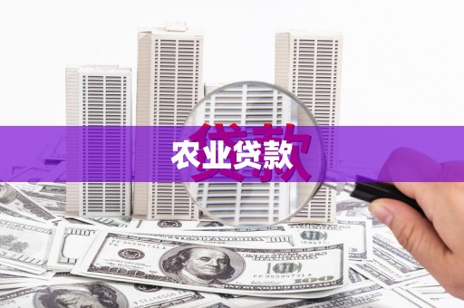 水富农业贷款