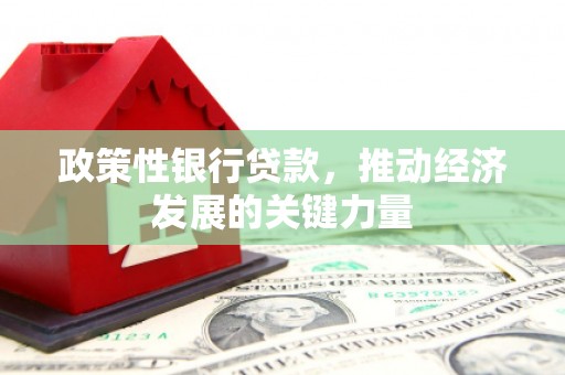 水富政策性银行贷款，推动经济发展的关键力量