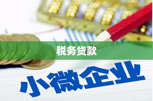 水富税务贷款