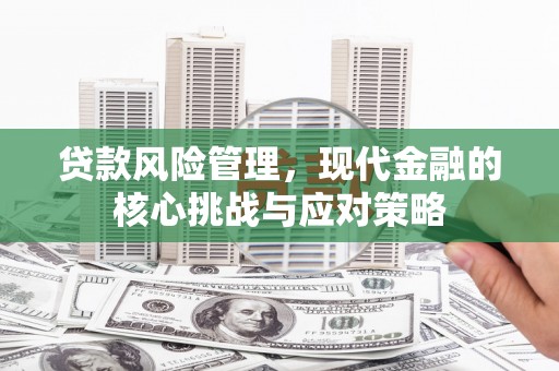 水富贷款风险管理，现代金融的核心挑战与应对策略