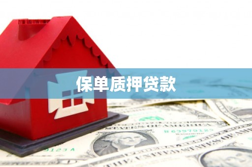 水富保单质押贷款