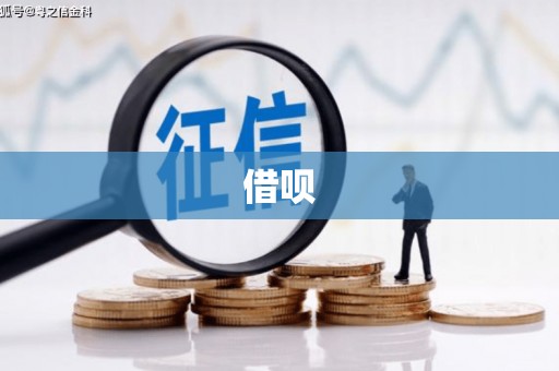 水富借呗