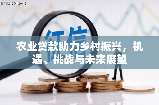 水富农业贷款助力乡村振兴，机遇、挑战与未来展望