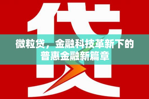 水富微粒贷，金融科技革新下的普惠金融新篇章