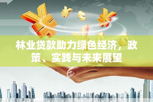 水富林业贷款助力绿色经济，政策、实践与未来展望