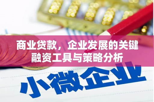 水富商业贷款，企业发展的关键融资工具与策略分析