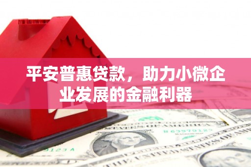 水富平安普惠贷款，助力小微企业发展的金融利器
