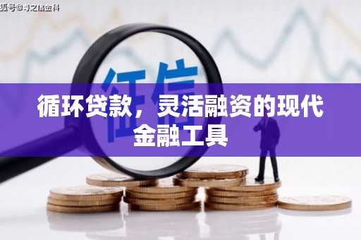 水富循环贷款，灵活融资的现代金融工具
