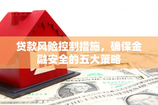 水富贷款风险控制措施，确保金融安全的五大策略