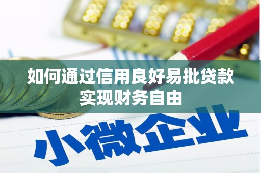 水富如何通过信用良好易批贷款实现财务自由