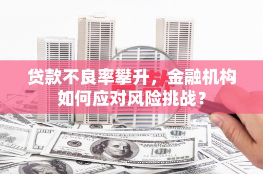 水富贷款不良率攀升，金融机构如何应对风险挑战？