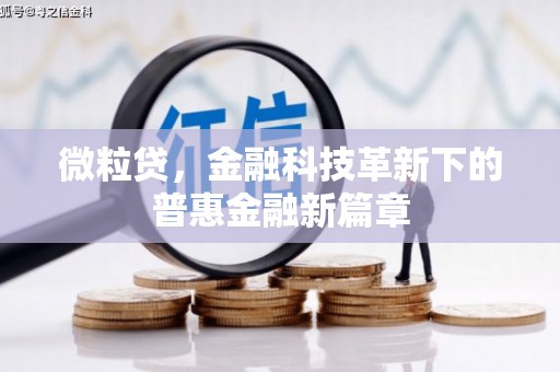 水富微粒贷，金融科技革新下的普惠金融新篇章