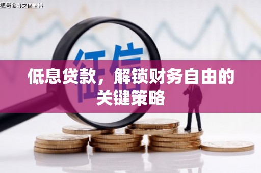 水富低息贷款，解锁财务自由的关键策略