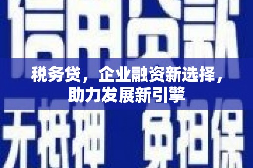 水富税务贷，企业融资新选择，助力发展新引擎