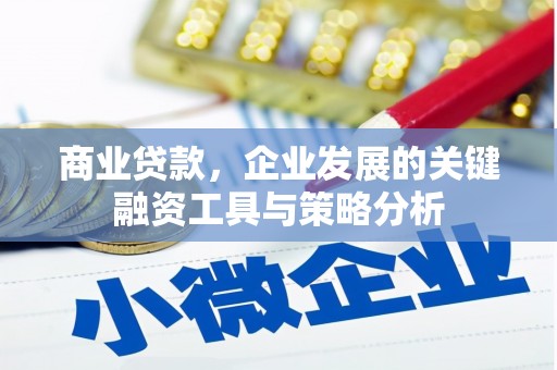 水富商业贷款，企业发展的关键融资工具与策略分析
