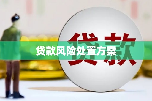水富贷款风险处置方案