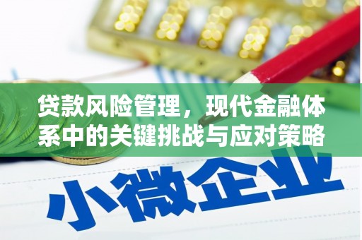 水富贷款风险管理，现代金融体系中的关键挑战与应对策略