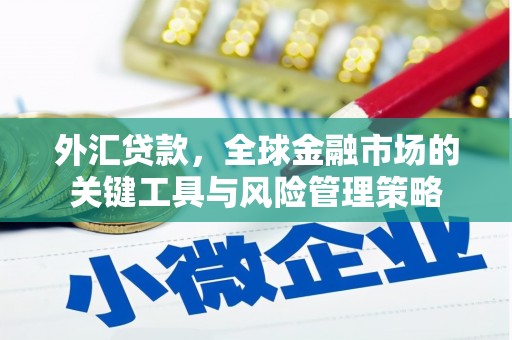 水富外汇贷款，全球金融市场的关键工具与风险管理策略