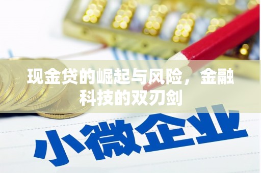 水富现金贷的崛起与风险，金融科技的双刃剑