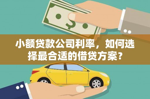 水富小额贷款公司利率，如何选择最合适的借贷方案？