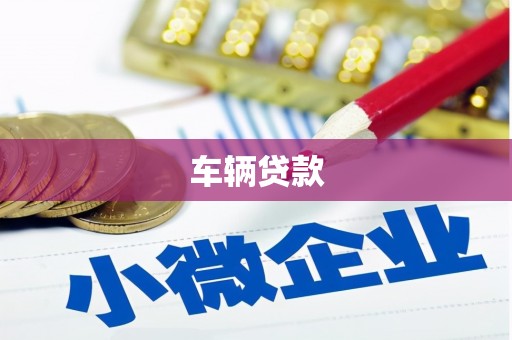 水富车辆贷款