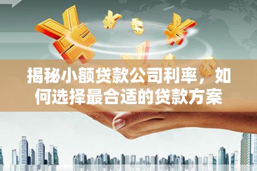 水富揭秘小额贷款公司利率，如何选择最合适的贷款方案
