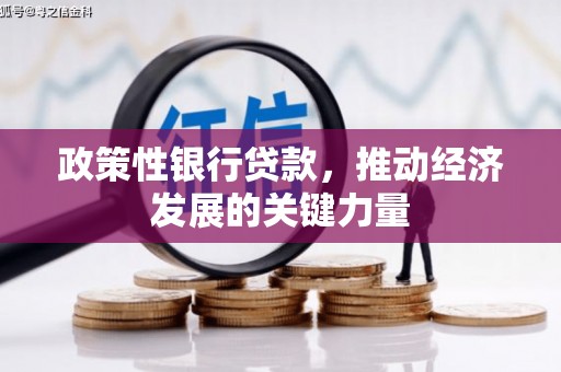水富政策性银行贷款，推动经济发展的关键力量
