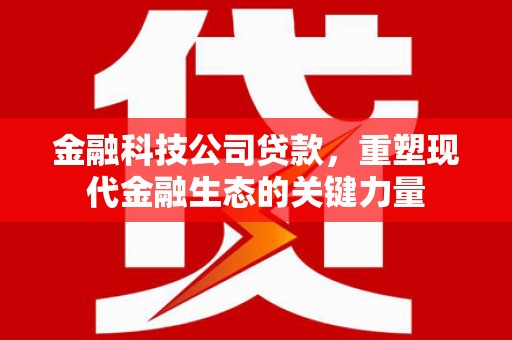 水富金融科技公司贷款，重塑现代金融生态的关键力量
