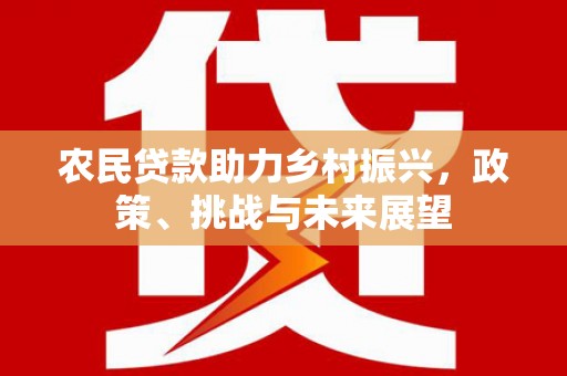 水富农民贷款助力乡村振兴，政策、挑战与未来展望