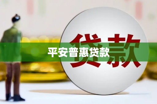 水富平安普惠贷款