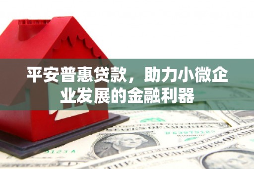 水富平安普惠贷款，助力小微企业发展的金融利器