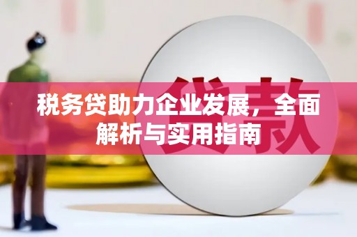 水富税务贷助力企业发展，全面解析与实用指南
