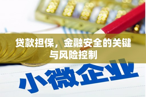 水富贷款担保，金融安全的关键与风险控制
