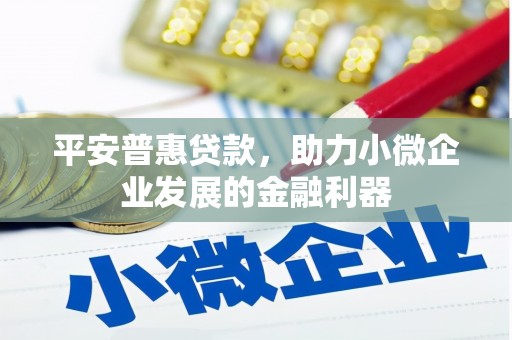水富平安普惠贷款，助力小微企业发展的金融利器