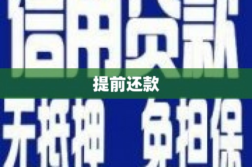 水富提前还款