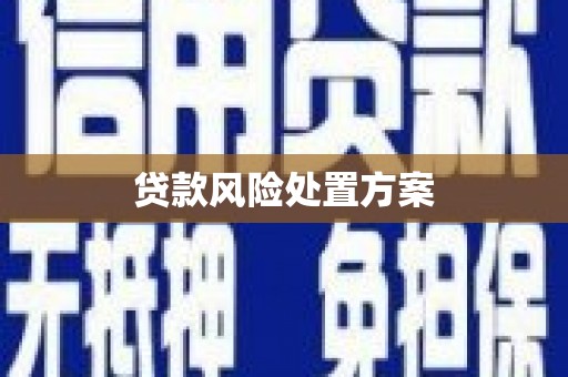 水富贷款风险处置方案