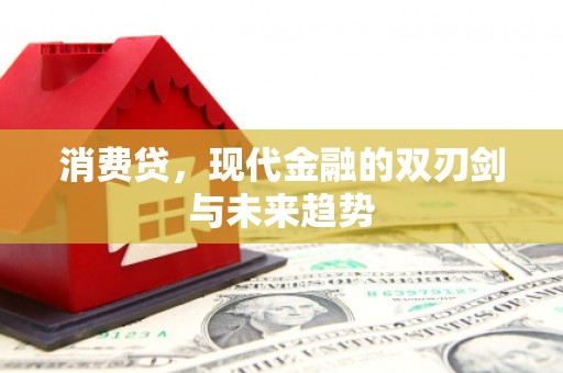 水富消费贷，现代金融的双刃剑与未来趋势