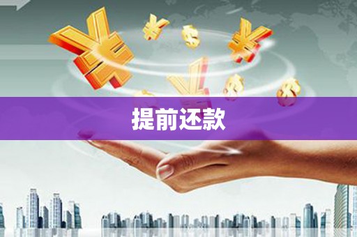 水富提前还款