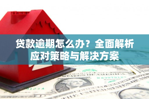 水富贷款逾期怎么办？全面解析应对策略与解决方案
