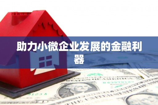 水富助力小微企业发展的金融利器
