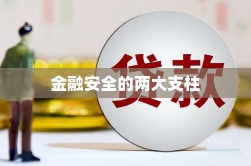 水富金融安全的两大支柱
