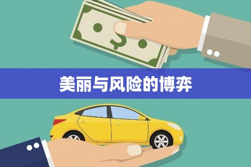 水富美丽与风险的博弈