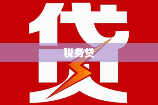 水富税务贷
